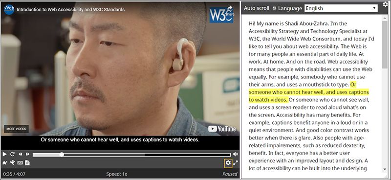 Video transcript example from w3.org